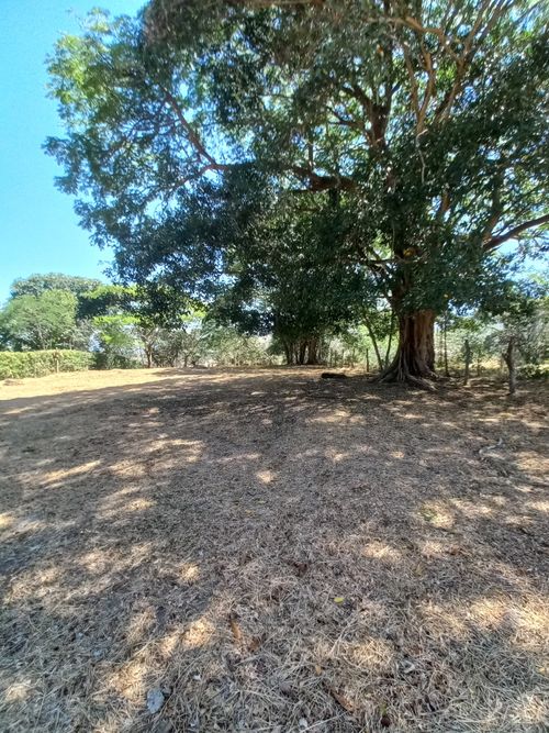 Lote en venta en Aparco, Ibagué, 2116 m² · foto 23 de 24