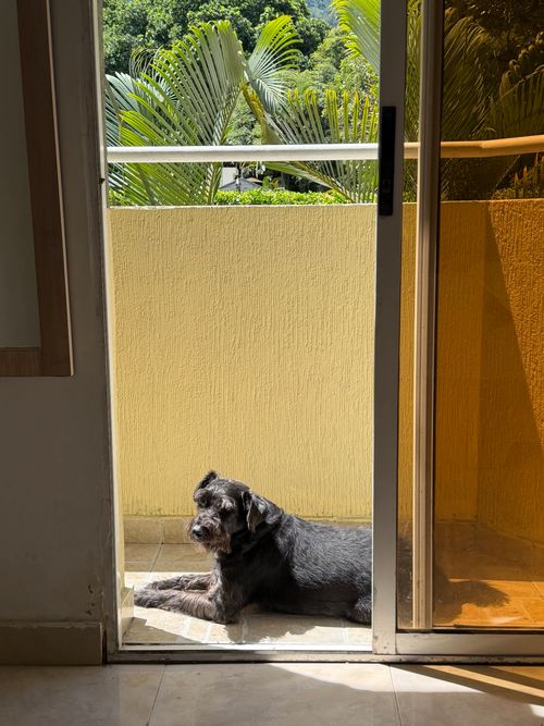 Casa de 4 alcobas en venta en Rincon Del Pedregal Et. I, Ibagué, 144 m² · foto 4 de 6