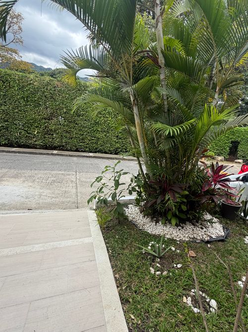 Casa de 4 alcobas en venta en Rincon Del Pedregal Et. I, Ibagué, 144 m² · foto 6 de 6