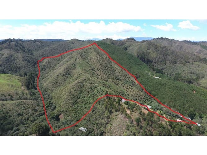 Lote en venta en Guarne, 96000 m² · foto 3 de 5