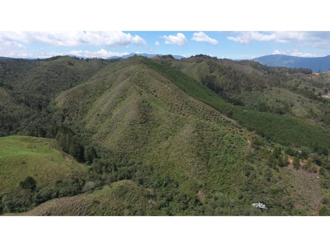 Lote en venta en Guarne, 96000 m² · foto 5 de 5