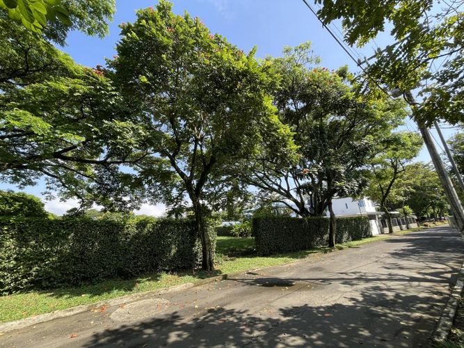 Lote en venta en La Morada, Jamundí, 1250 m² · foto 4 de 22