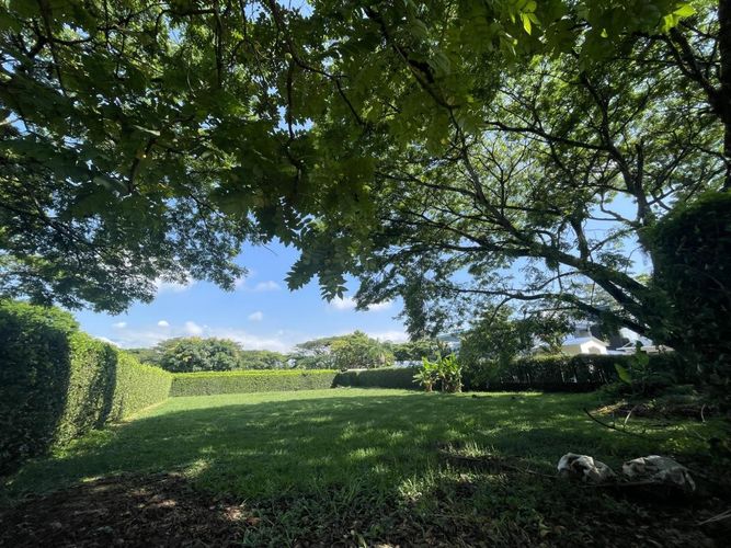 Lote en venta en La Morada, Jamundí, 1250 m² · foto 8 de 22