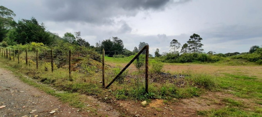 Land in Lejos del nido for Sale - 2