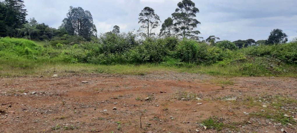 Land in Lejos del nido for Sale - 3