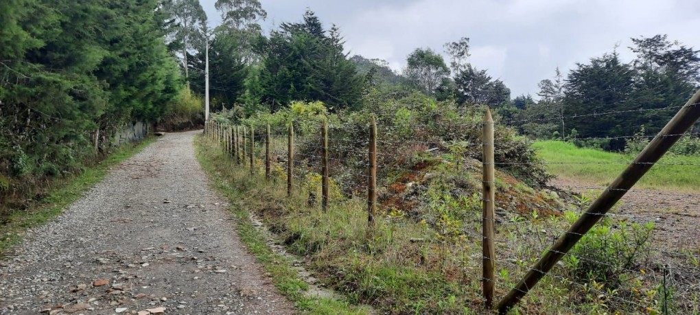 Land in Lejos del nido for Sale - 4