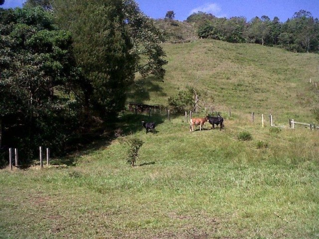 Land in Aeropuerto for Sale - 2