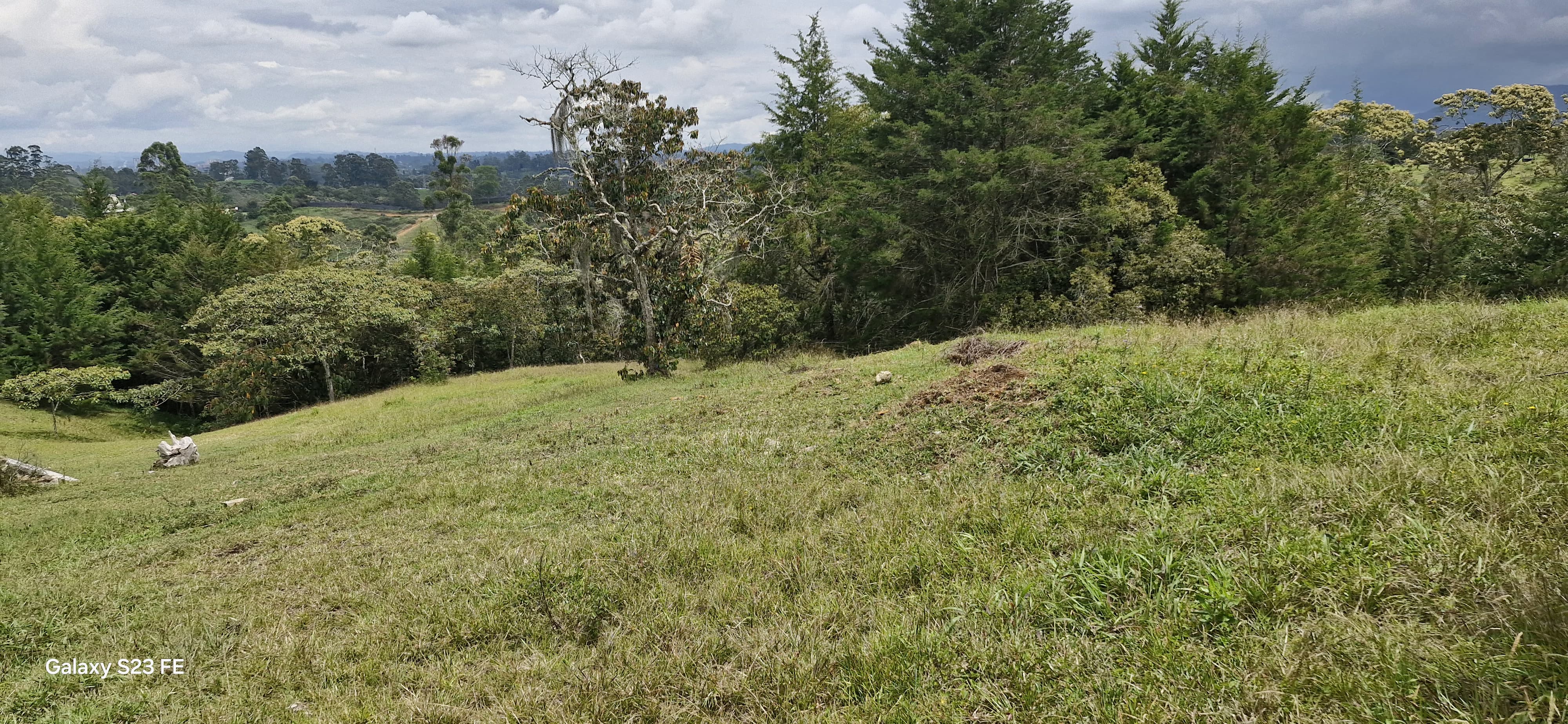 Land in El capiro for Sale - 2