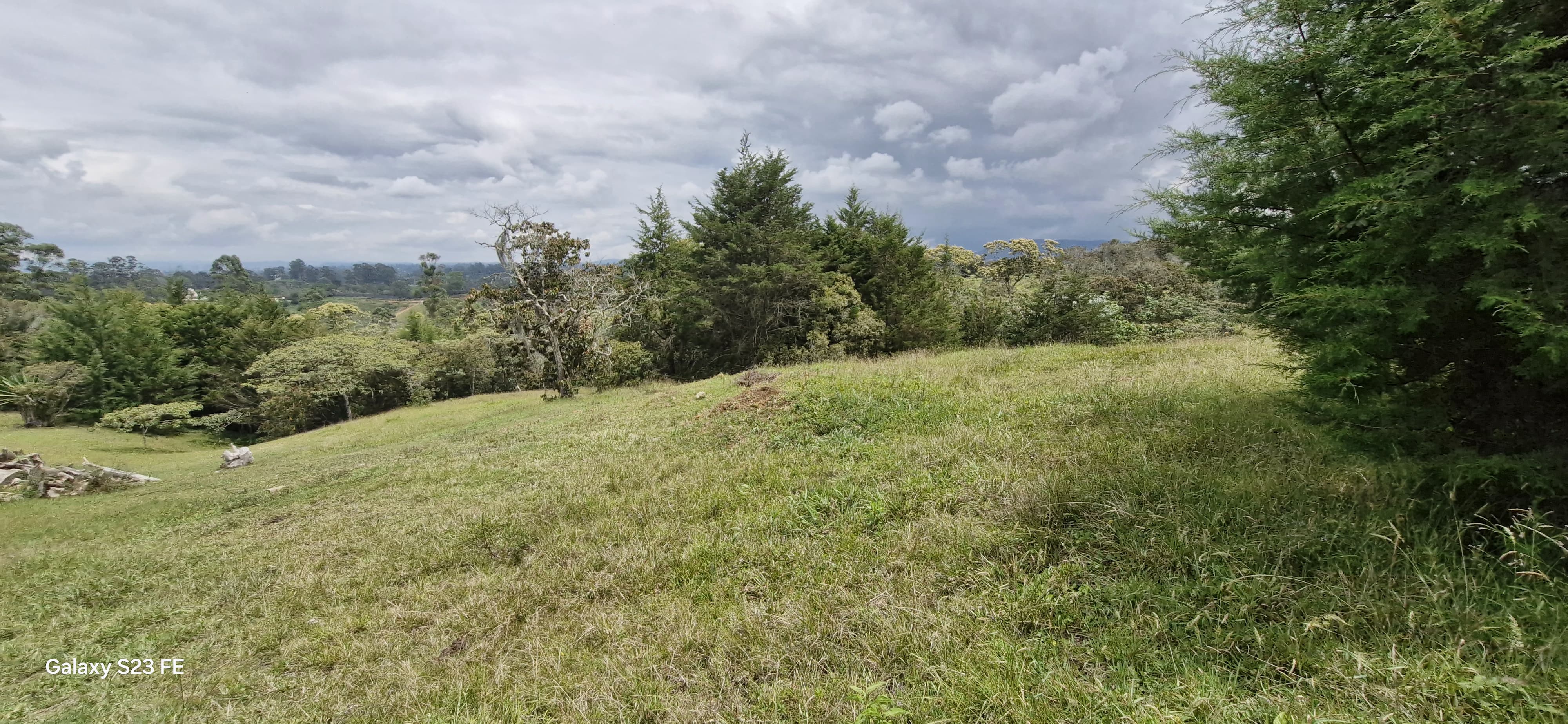 Land in El capiro for Sale - 4