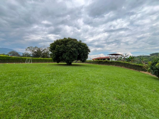 Lote en venta en Combia, Pereira, 2500 m² · foto 6 de 7