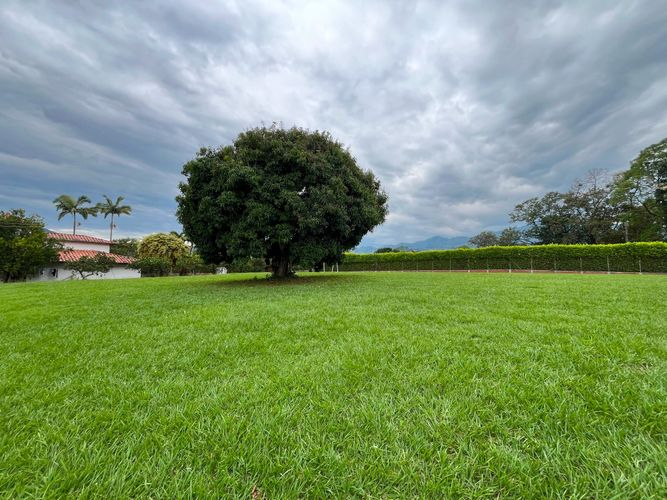 Lote en venta en Combia, Pereira, 2500 m² · foto 7 de 7