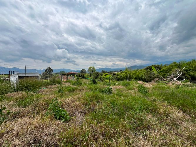 Lote en venta en Tribunas Corcega, Pereira, 2320 m² · foto 6 de 6