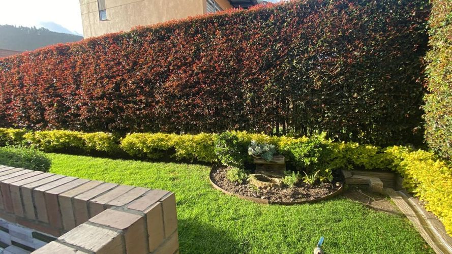 Casa de 3 alcobas en venta en Chuntame, Cajicá, 518 m² · foto 9 de 24