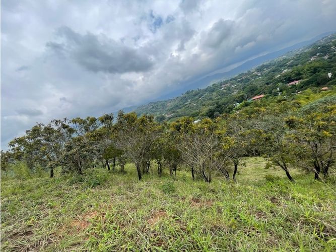 Lote en venta en La Buitrera, Cali, 15800 m² · foto 8 de 13