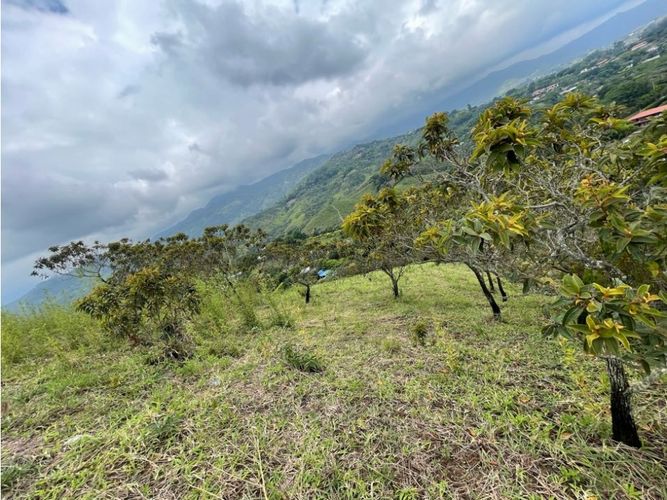 Lote en venta en La Buitrera, Cali, 15800 m² · foto 9 de 13