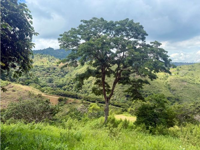 Lote en venta en Yumbillo, Yumbo, 6057 m² · foto 4 de 11