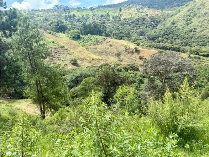 Lote en venta en Yumbillo, Yumbo, 6057 m² · foto 6 de 11