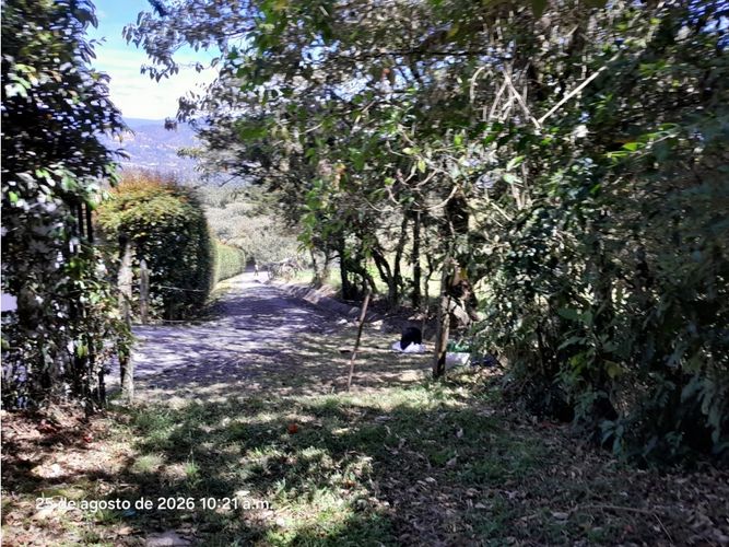 Lote en venta en Lomitas, La Ceja, 5000 m² · foto 2 de 24