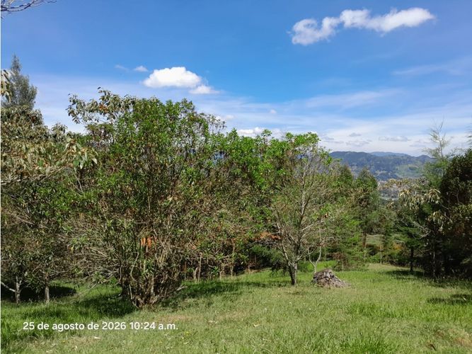Lote en venta en Lomitas, La Ceja, 5000 m² · foto 3 de 24