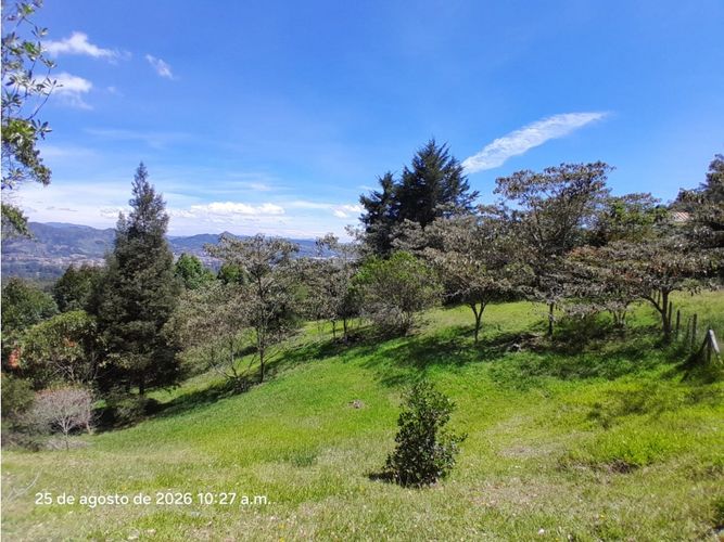 Lote en venta en Lomitas, La Ceja, 5000 m² · foto 4 de 24