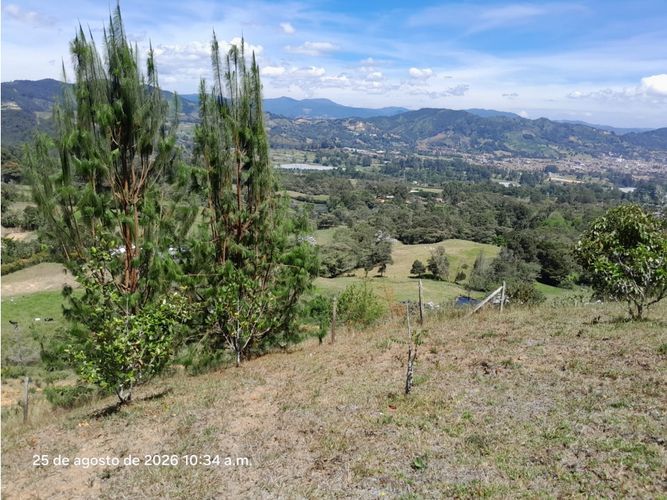 Lote en venta en Lomitas, La Ceja, 5000 m² · foto 5 de 24