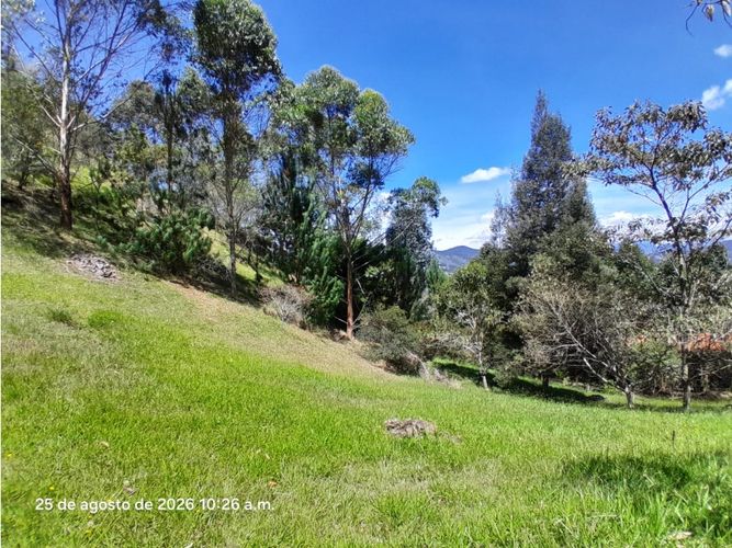 Lote en venta en Lomitas, La Ceja, 5000 m² · foto 6 de 24