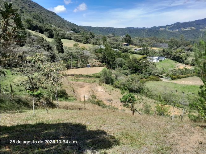 Lote en venta en Lomitas, La Ceja, 5000 m² · foto 7 de 24
