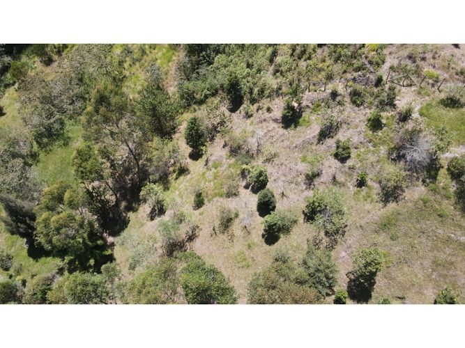 Lote en venta en Lomitas, La Ceja, 5000 m² · foto 10 de 24