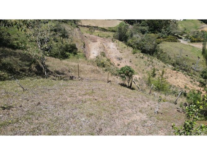 Lote en venta en Lomitas, La Ceja, 5000 m² · foto 11 de 24