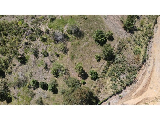 Lote en venta en Lomitas, La Ceja, 5000 m² · foto 12 de 24