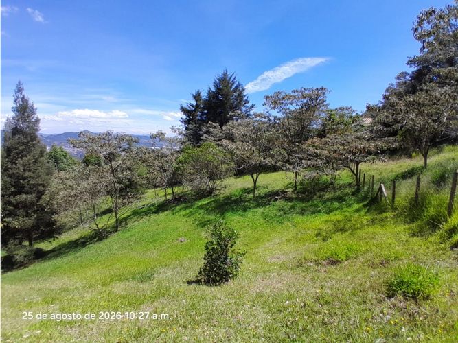 Lote en venta en Lomitas, La Ceja, 5000 m² · foto 14 de 24
