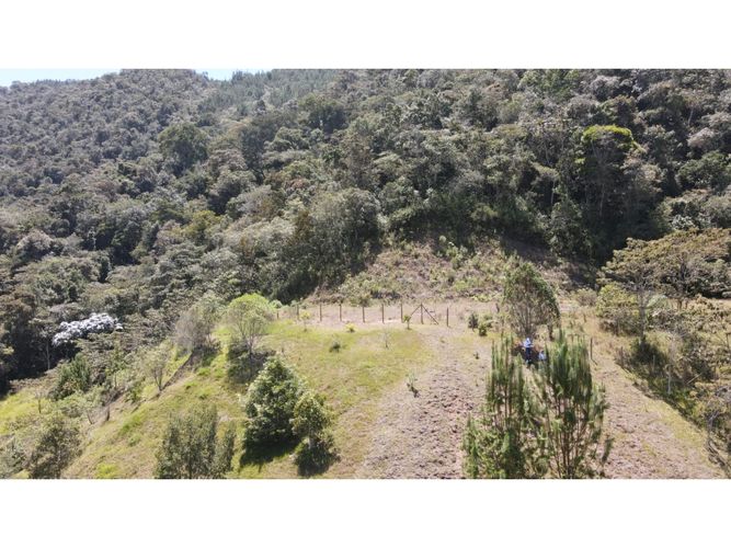 Lote en venta en Lomitas, La Ceja, 5000 m² · foto 15 de 24