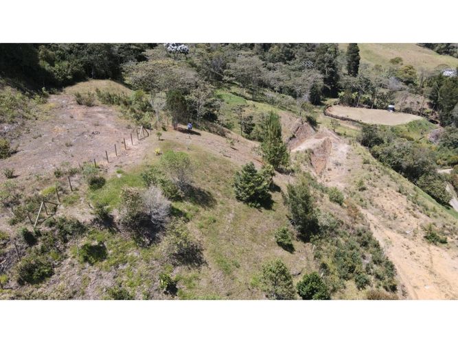 Lote en venta en Lomitas, La Ceja, 5000 m² · foto 16 de 24