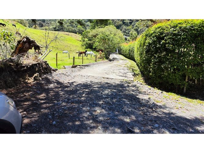 Lote en venta en Lomitas, La Ceja, 5000 m² · foto 18 de 24