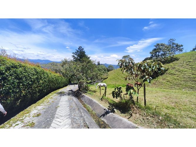 Lote en venta en Lomitas, La Ceja, 5000 m² · foto 20 de 24