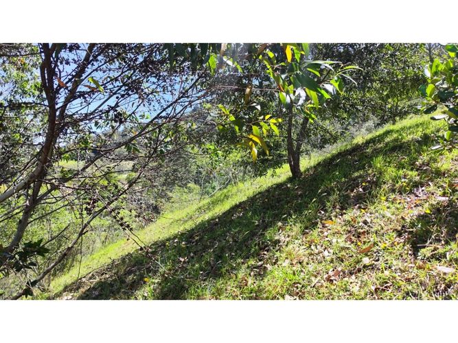 Lote en venta en Lomitas, La Ceja, 5000 m² · foto 23 de 24
