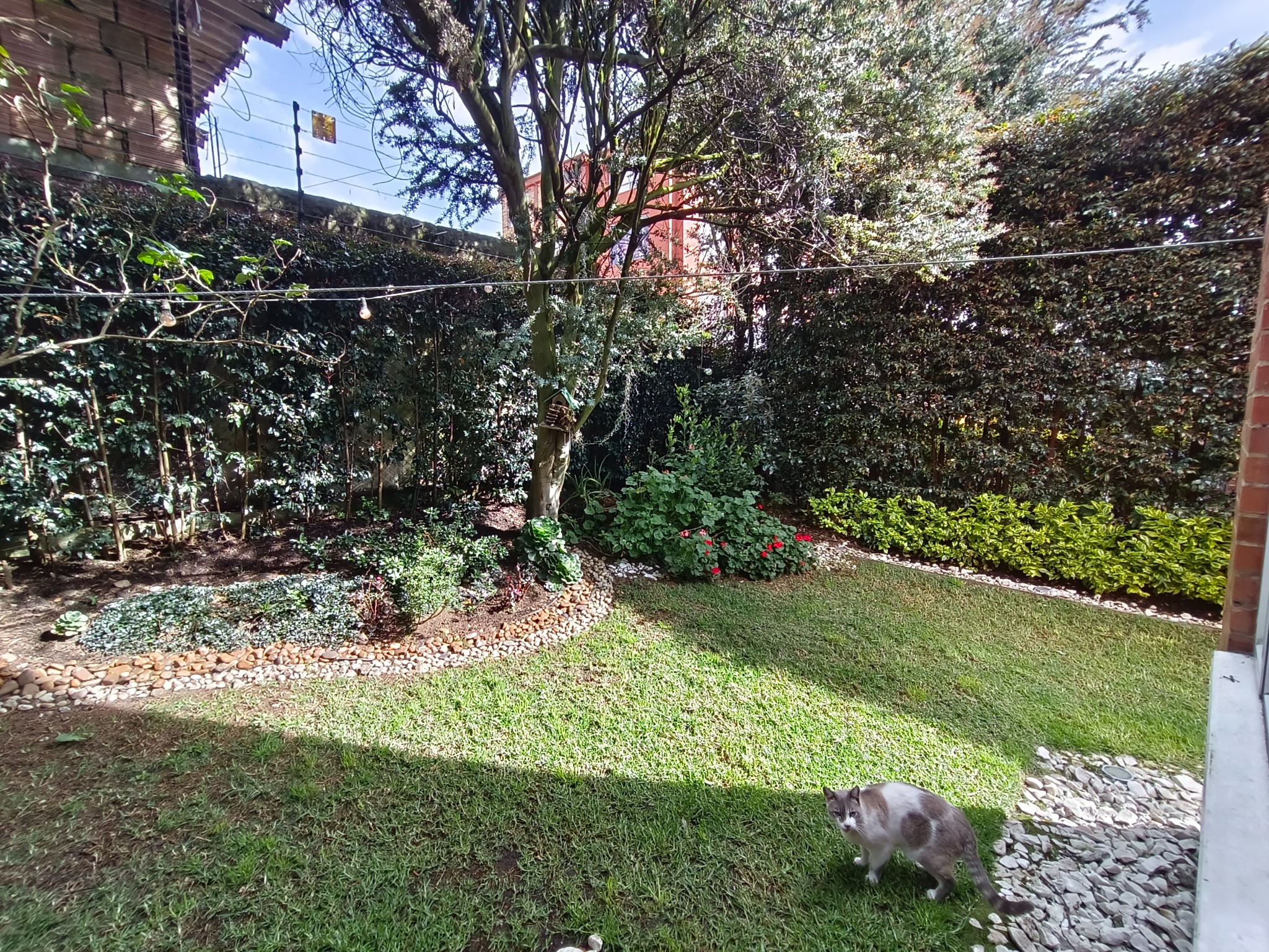 Casa en arriendo en Vda Chuntame, Cajicá · foto 16 de 22