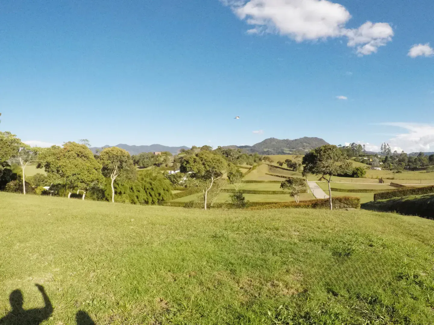 Land in Cabeceras de llanogrande (2500 m²) for Sale - 2