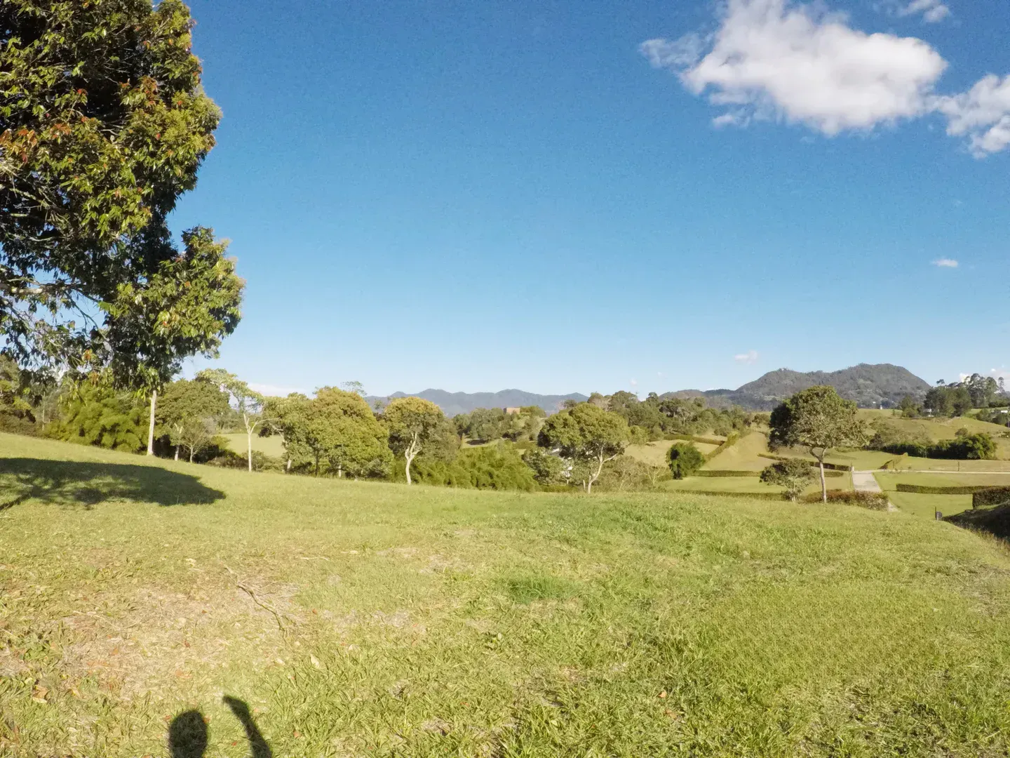 Land in Cabeceras de llanogrande (2500 m²) for Sale - 4