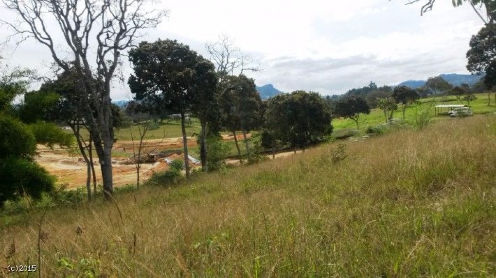 Land in Cabeceras de llanogrande (2500 m²) for Sale - 4