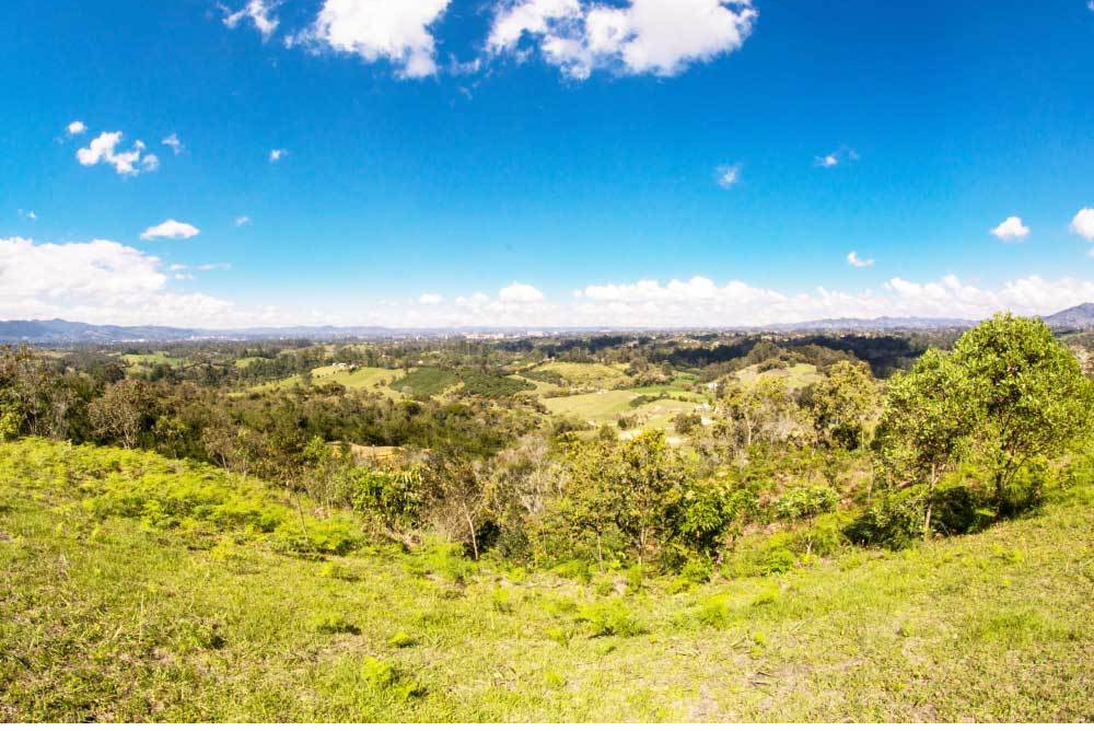 Land in El capiro for Sale