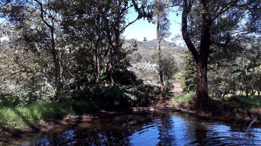 Land in Don diego for Sale