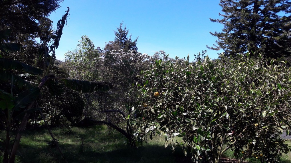 Land in Don diego for Sale - 4