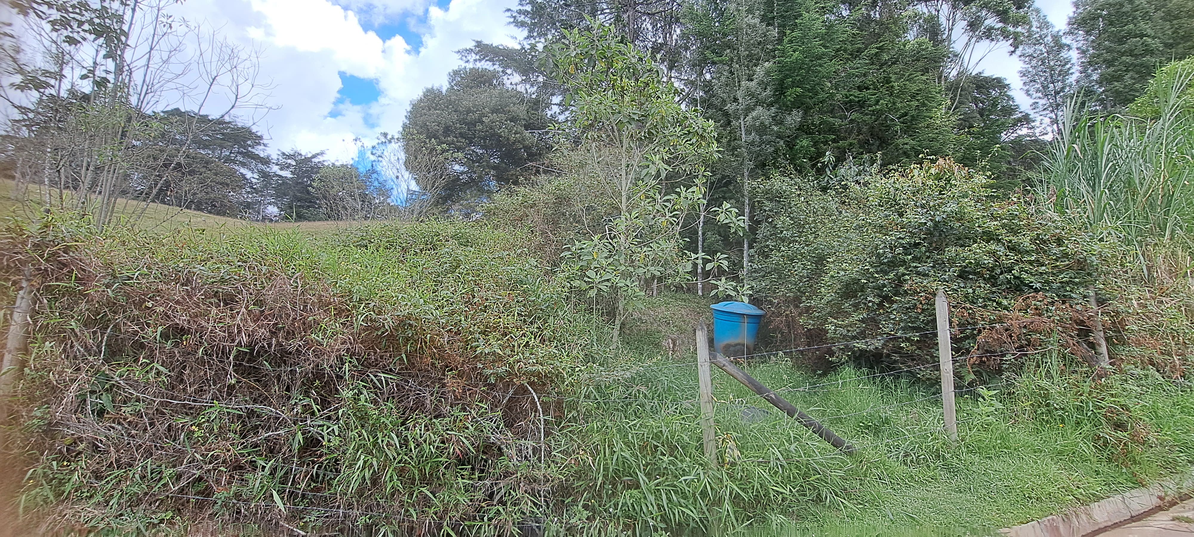 Land in El capiro for Sale - 2