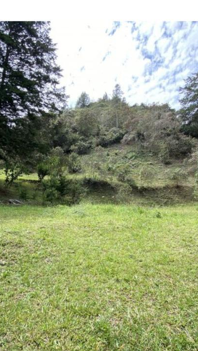 Land in Don diego for Sale - 3
