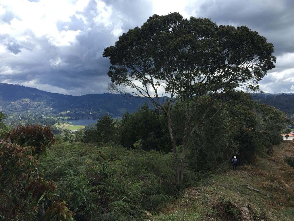 Land in Don diego for Sale - 4
