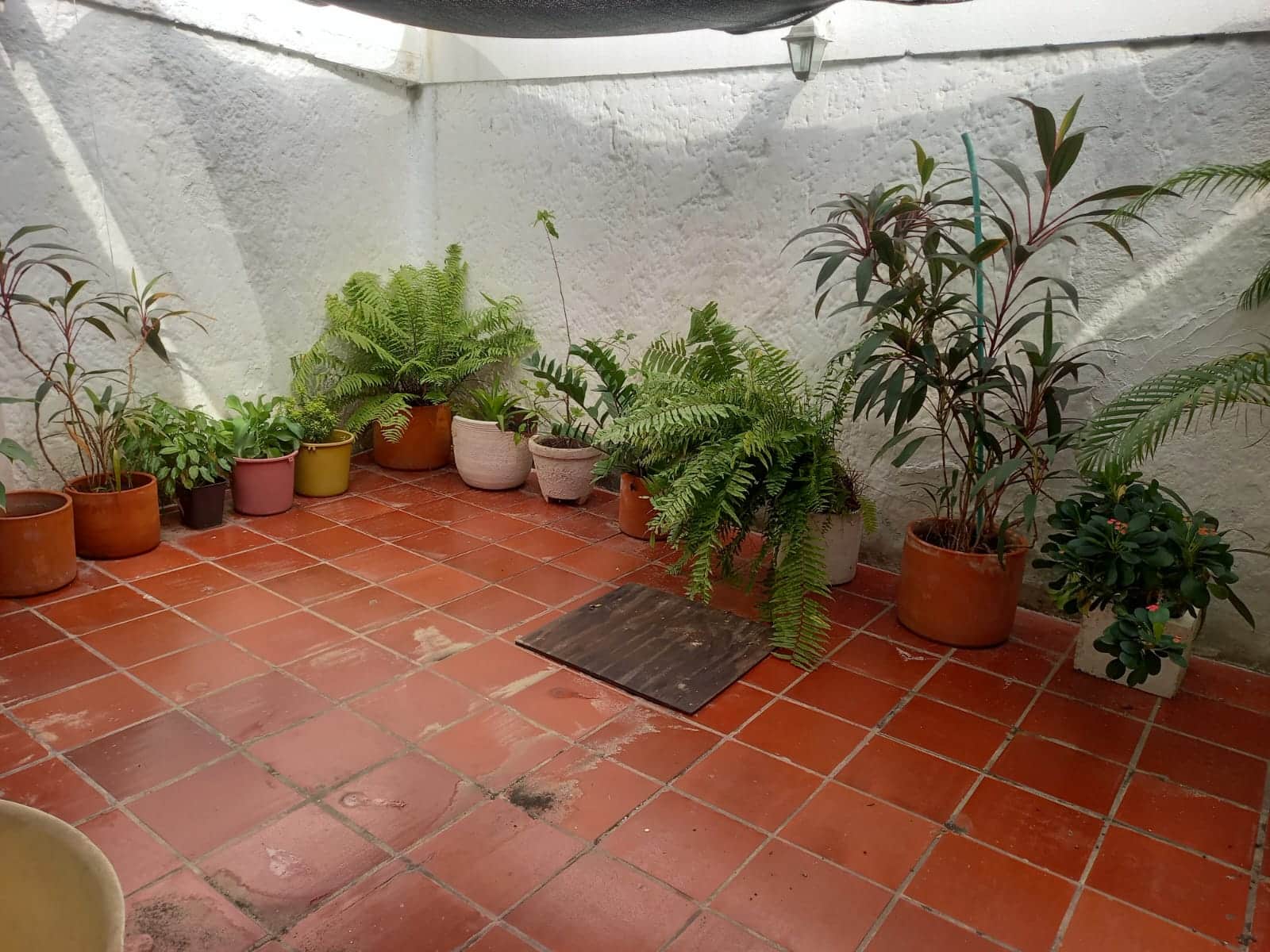 Casa en venta en Pie De La Popa, Cartagena · foto 6 de 13