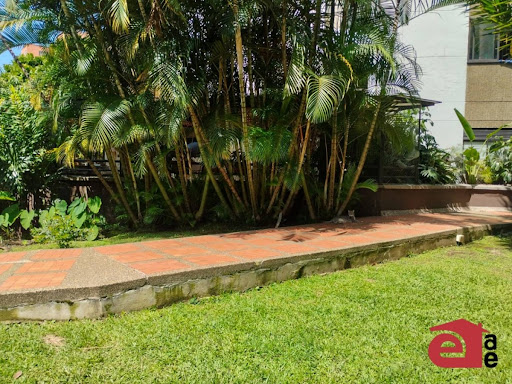 Apartamento en arriendo en Los Balsos, Medellín · foto 14 de 14