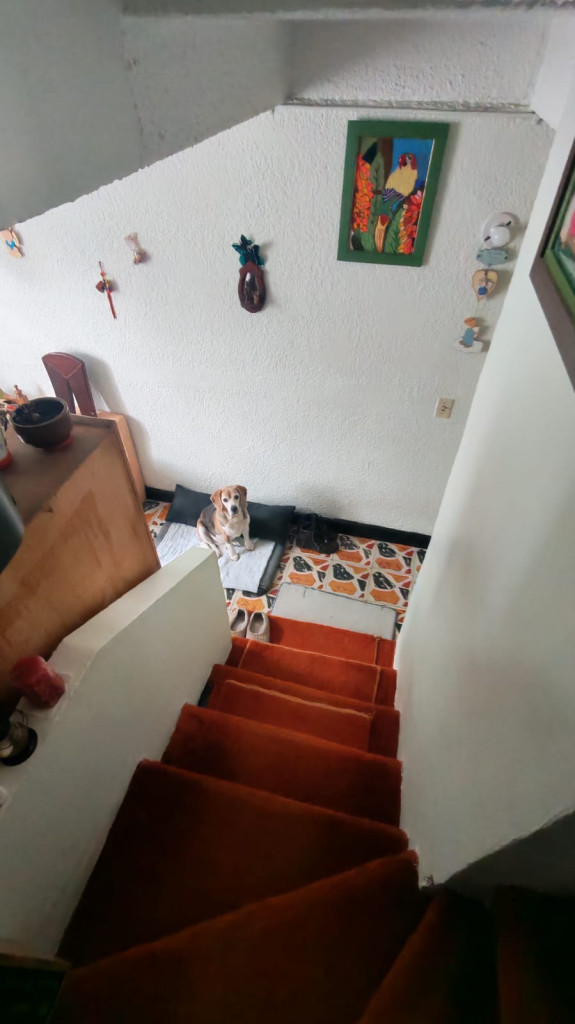 Casa en venta en Tibabuyes, Bogotá · foto 12 de 14