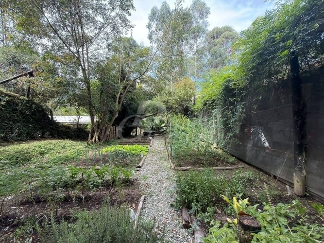 Finca en venta en San Antonio De Pereira, El Carmen de Viboral, 1645 m² · foto 11 de 24